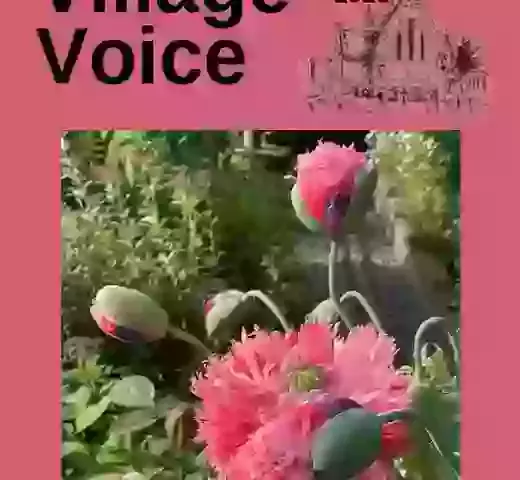 The Village Voice